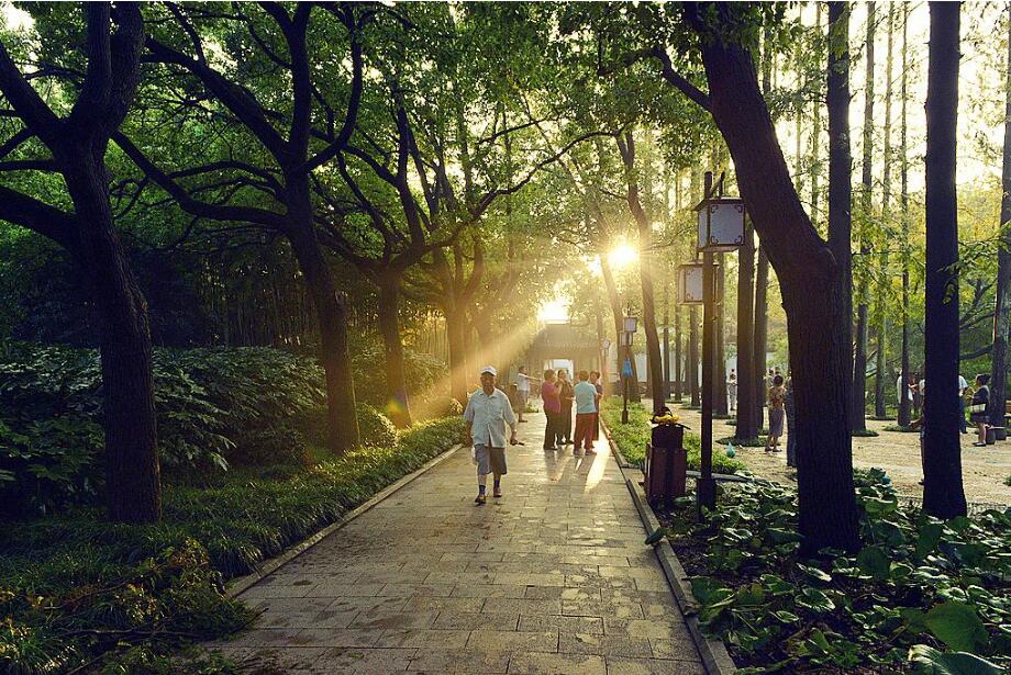 QQ截图20200106082925